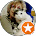 Martine Cornevin - avis Google