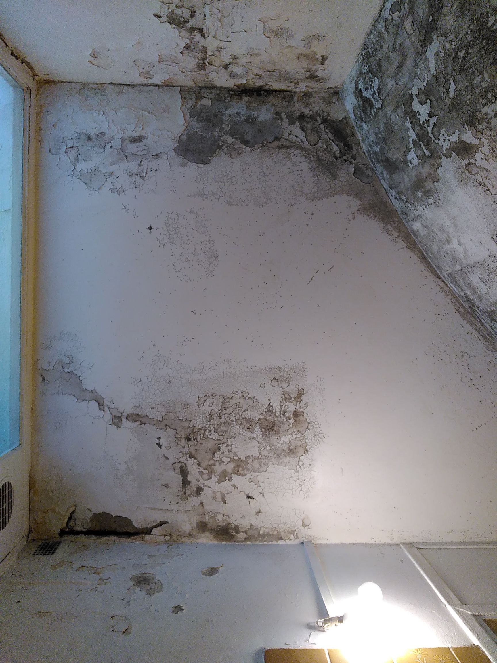 photo d'un logement insalubre avec de l'humidité excessive sur les murs